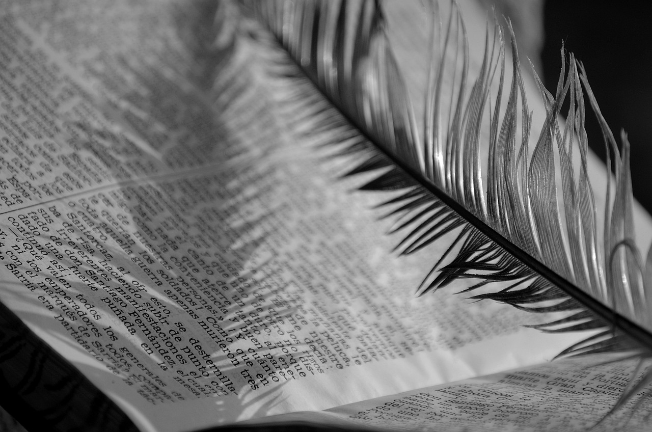 Exemple de cuvinte polisemantice